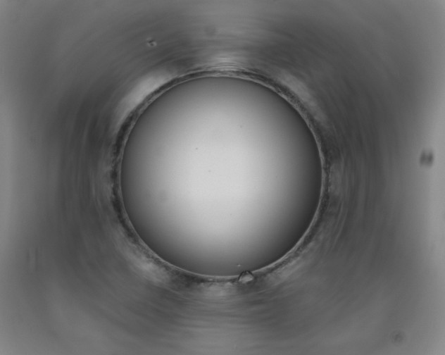 X0000091881410200709261342