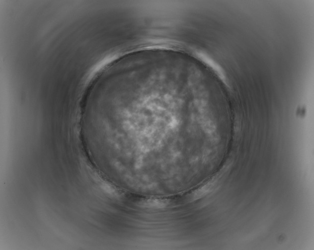 X0000091881411200709261342