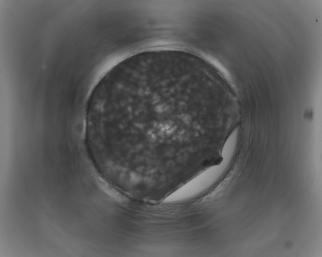 X0000091881413200709261342