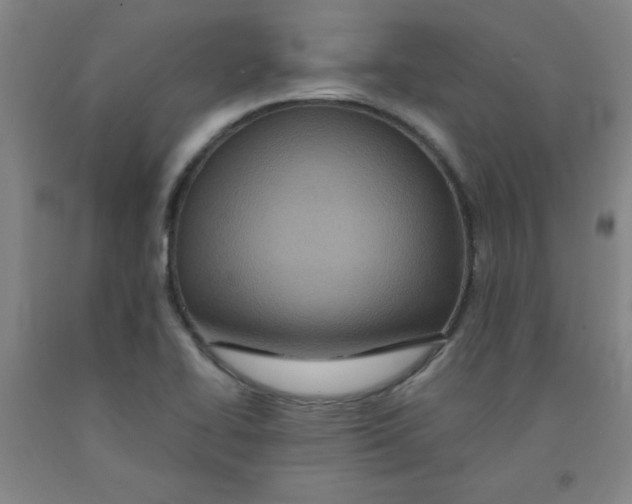 X0000091881414200709261342