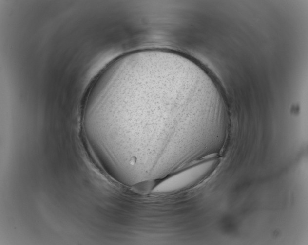 X0000091881415200709261342