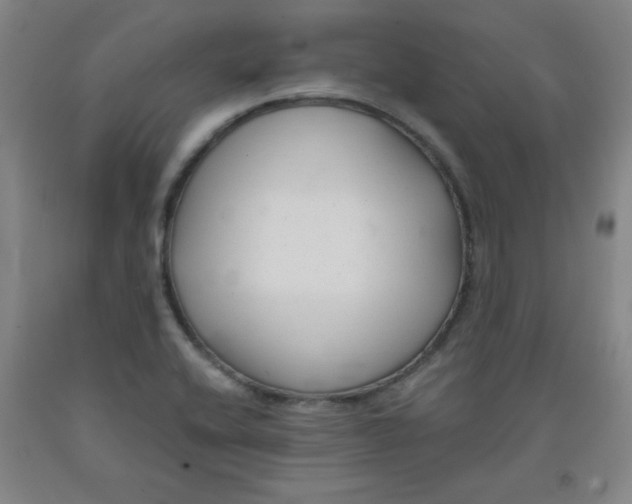 X0000091881416200709261342