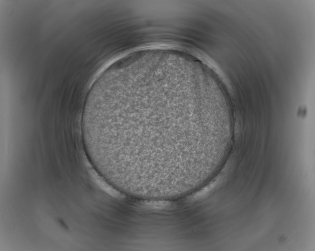 X0000091881417200709261342