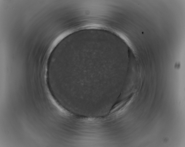 X0000091881418200709261342