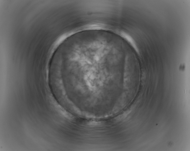 X0000091881419200709261342