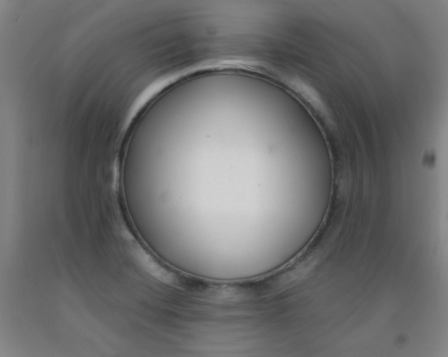 X0000091881420200709261342