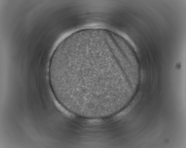 X0000091881421200709261342