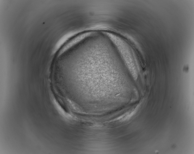 X0000091881422200709261342