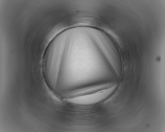 X0000091881423200709261342