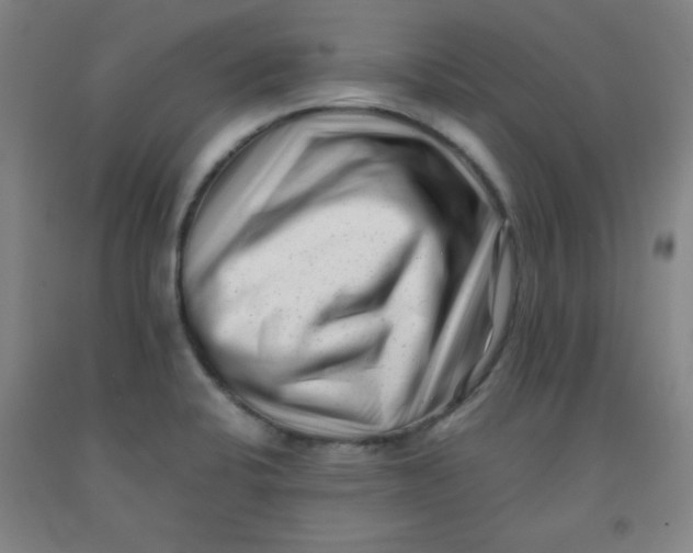 X0000091881424200709261342