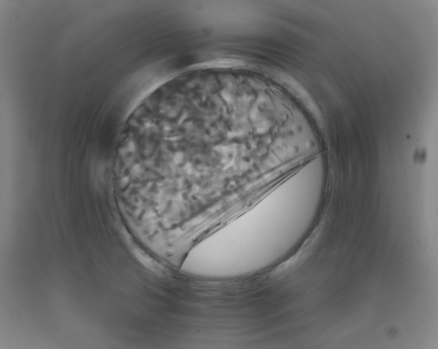 X0000091881425200709261342