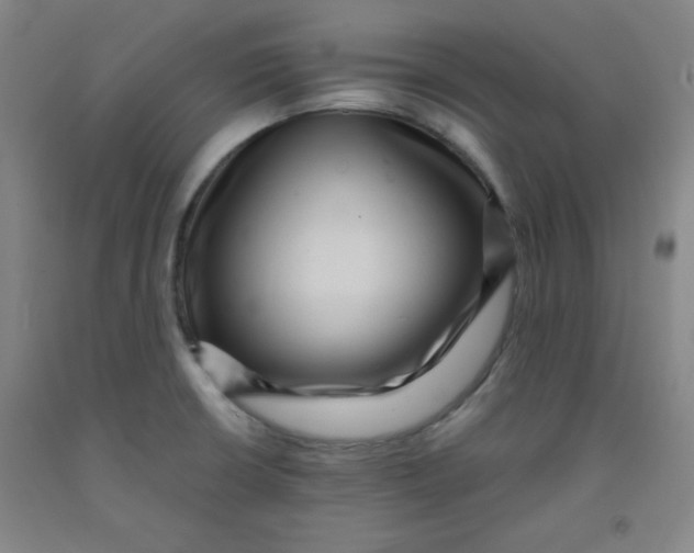 X0000091881426200709261342