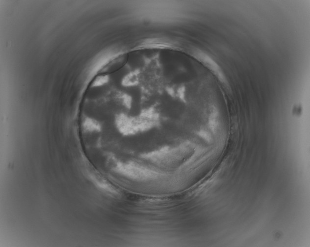 X0000091881427200709261342