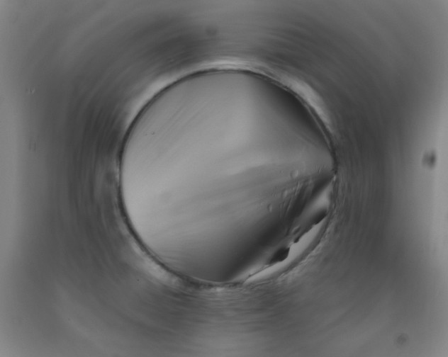 X0000091881428200709261342