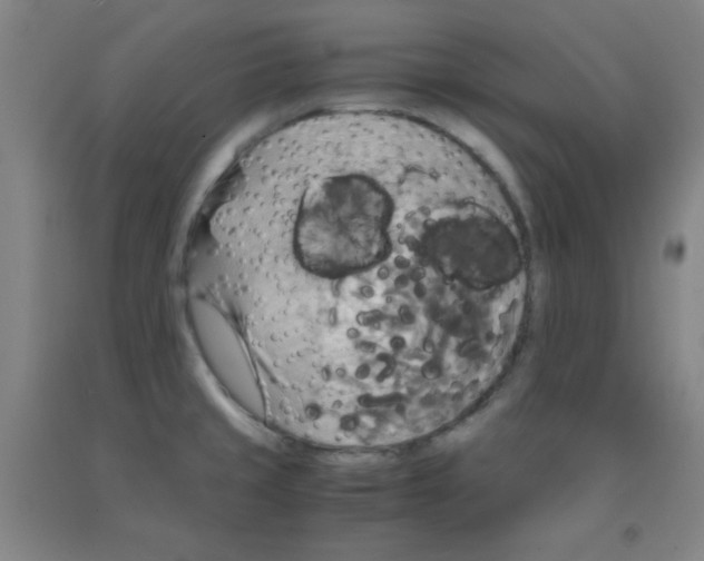 X0000091881429200709261342