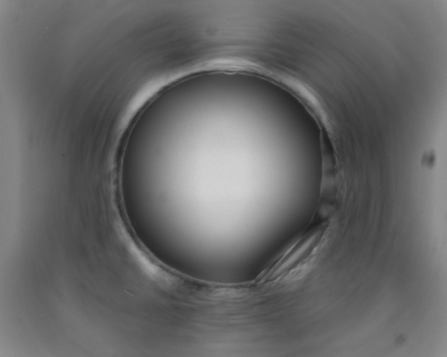 X0000091881430200709261342