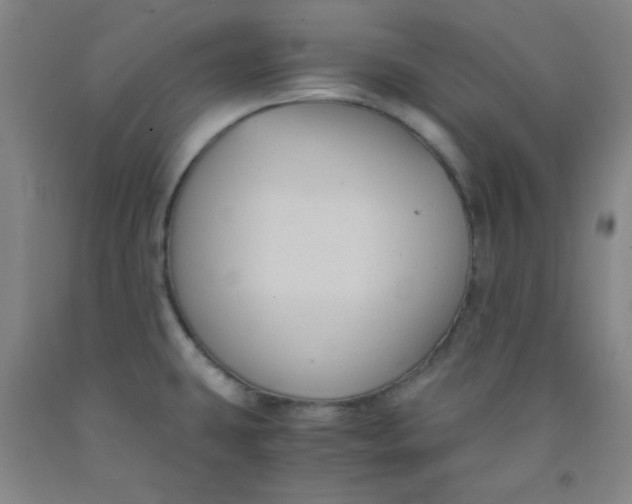 X0000091881431200709261342