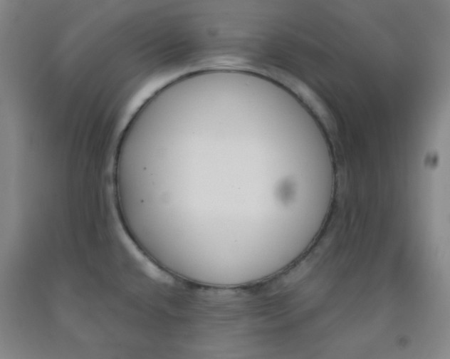 X0000091881432200709261342