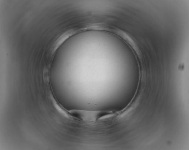 X0000091881433200709261342