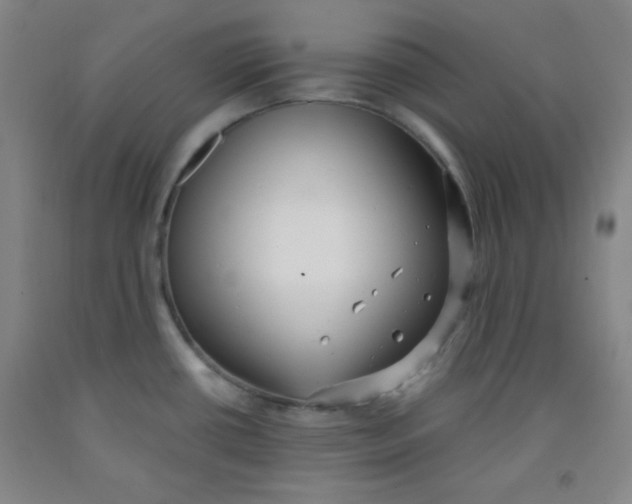 X0000091881434200709261342