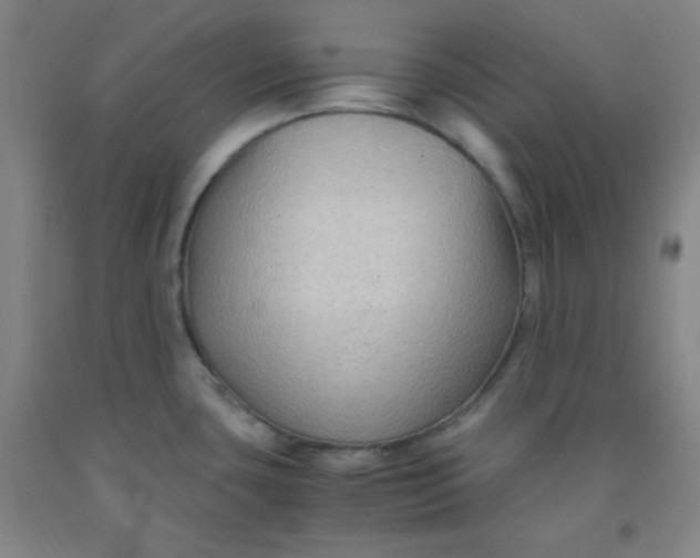 X0000091881435200709261342