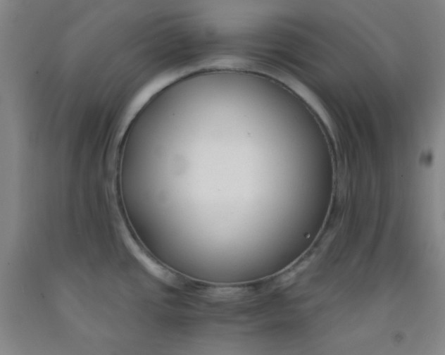 X0000091881437200709261342