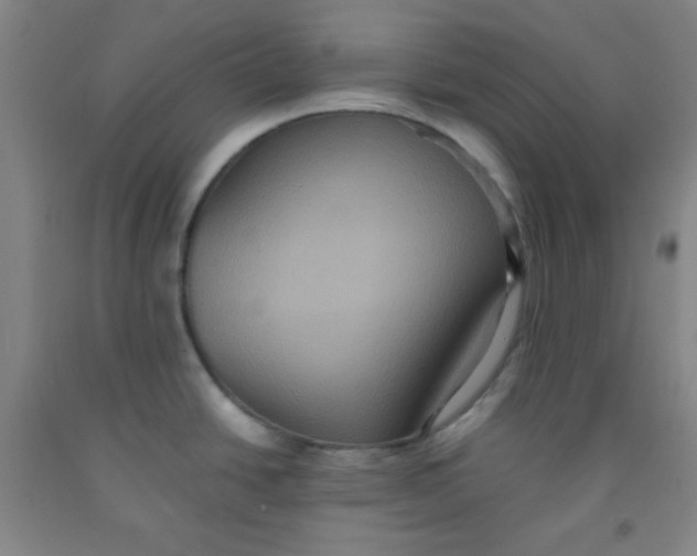 X0000091881438200709261342