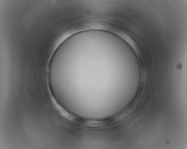 X0000091881439200709261342