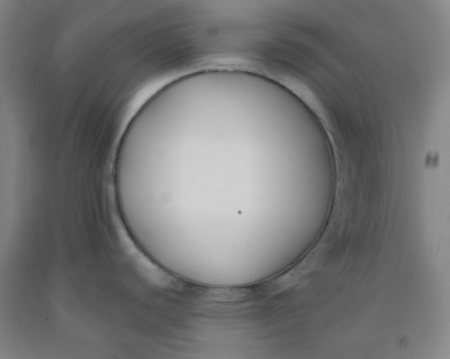 X0000091881440200709261342