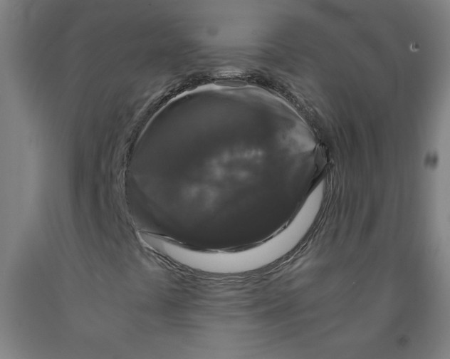 X0000091881441200709261342