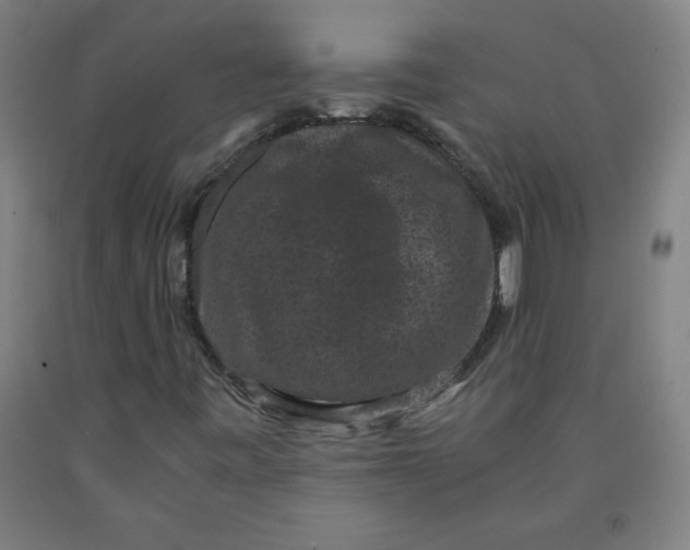 X0000091881443200709261341