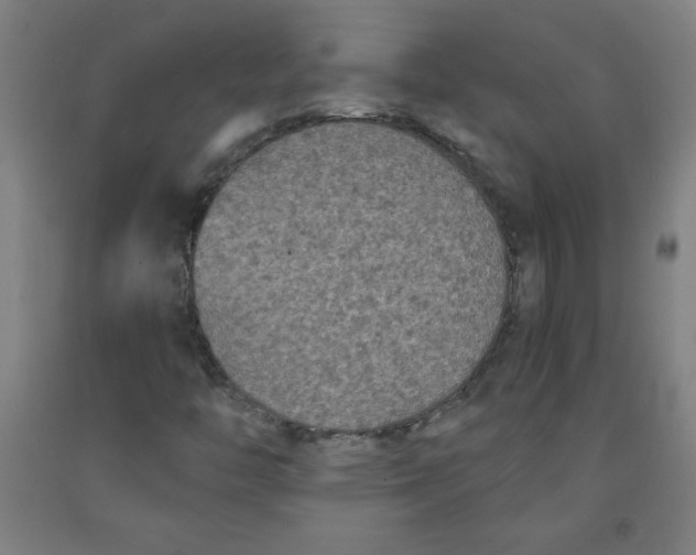 X0000091881446200709261341