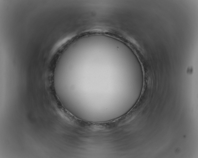 X0000091881448200709261341