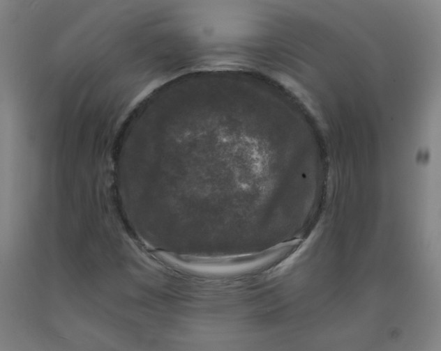 X0000091881449200709261341