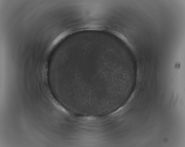 X0000091881450200709261341