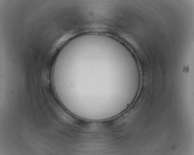 X0000091881451200709261341