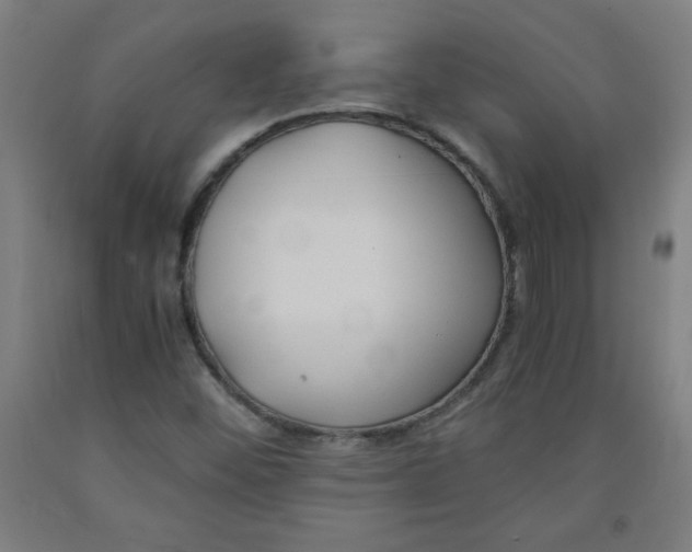 X0000091881452200709261341