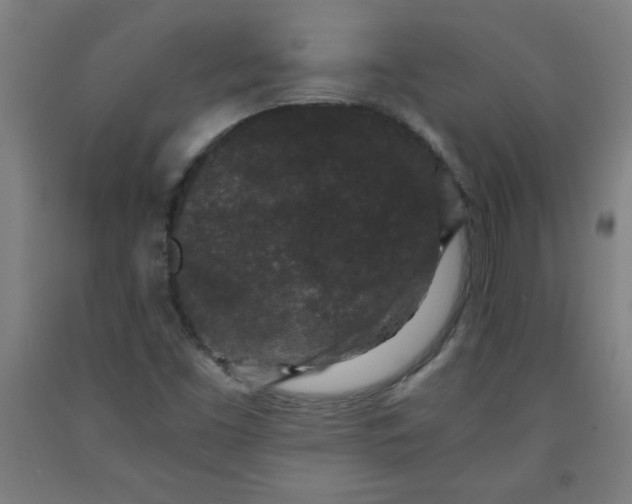 X0000091881453200709261341