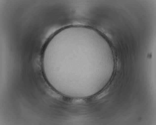 X0000091881454200709261341