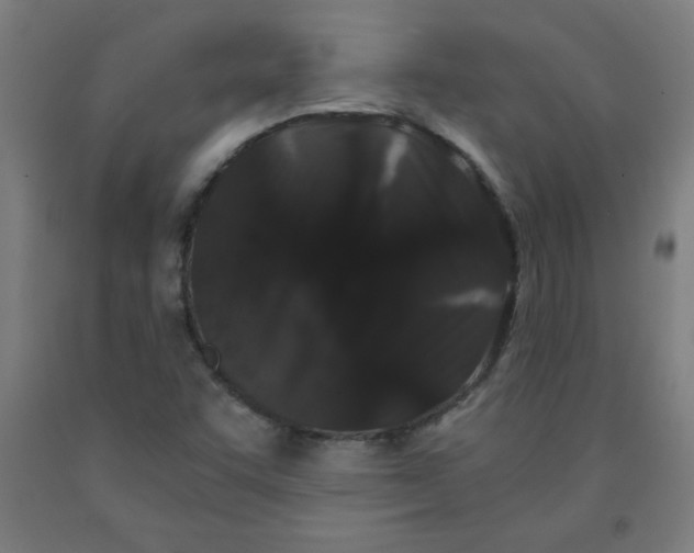 X0000091881455200709261341