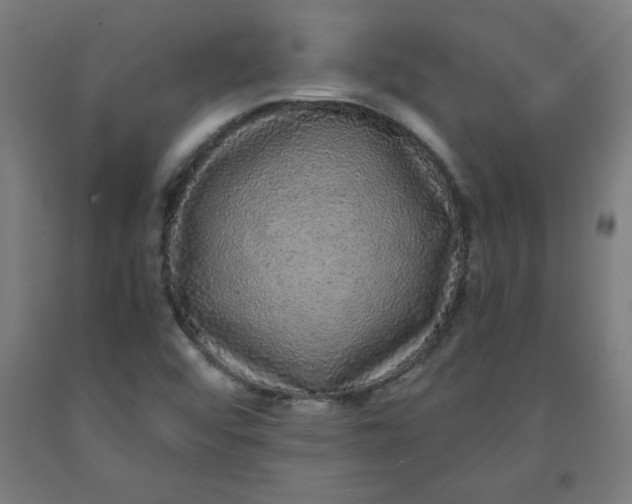 X0000091881456200709261341