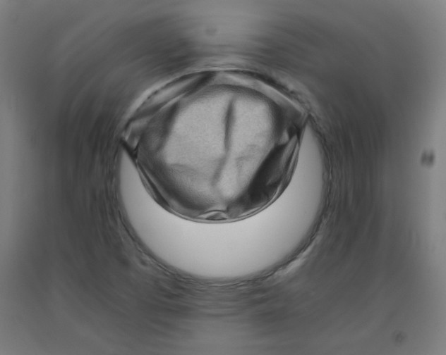 X0000091881457200709261341