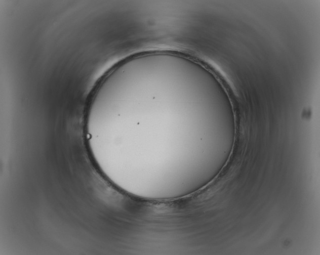 X0000091881460200709261341