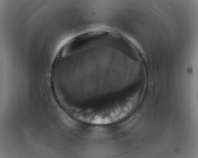 X0000091881463200709261341