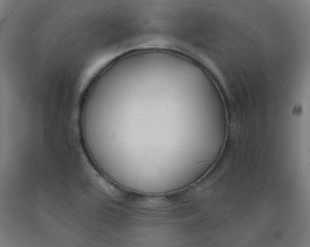 X0000091881464200709261341