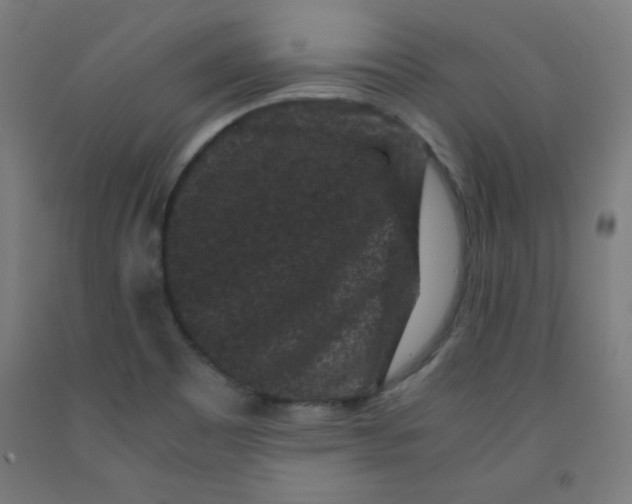 X0000091881465200709261341