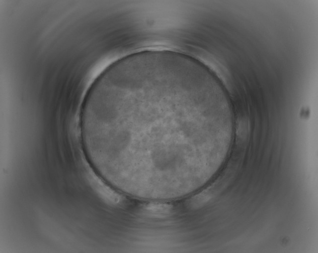 X0000091881466200709261341