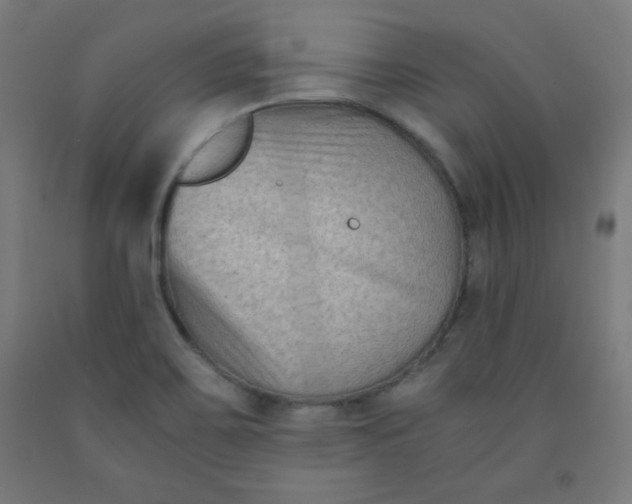 X0000091881467200709261341