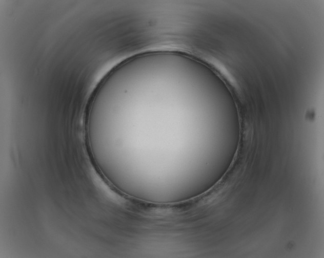 X0000091881468200709261341