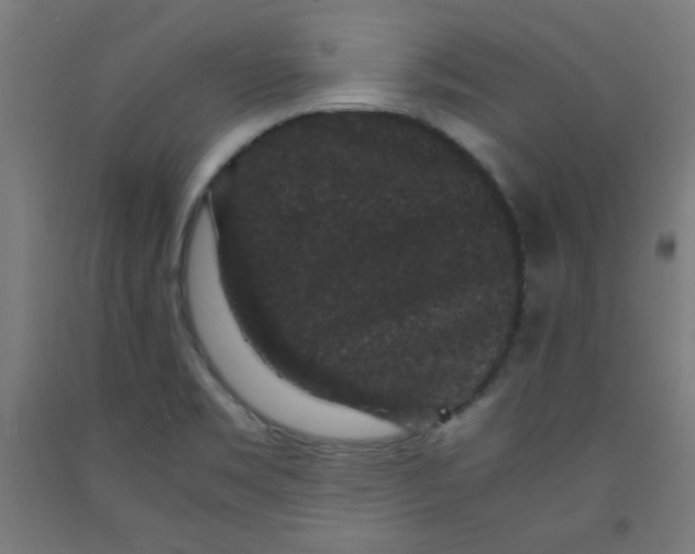 X0000091881469200709261341